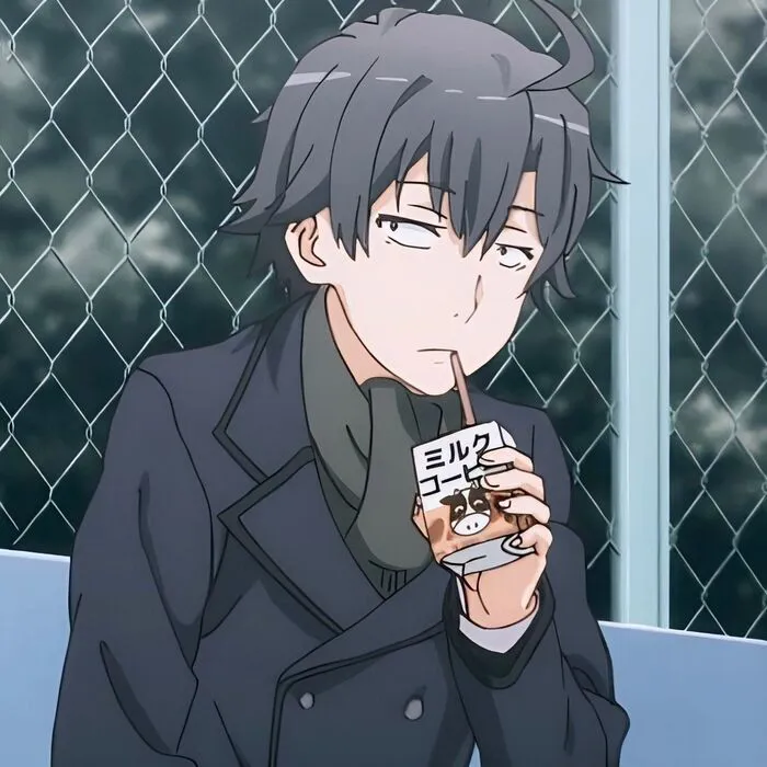ảnh Hachiman Hikigaya