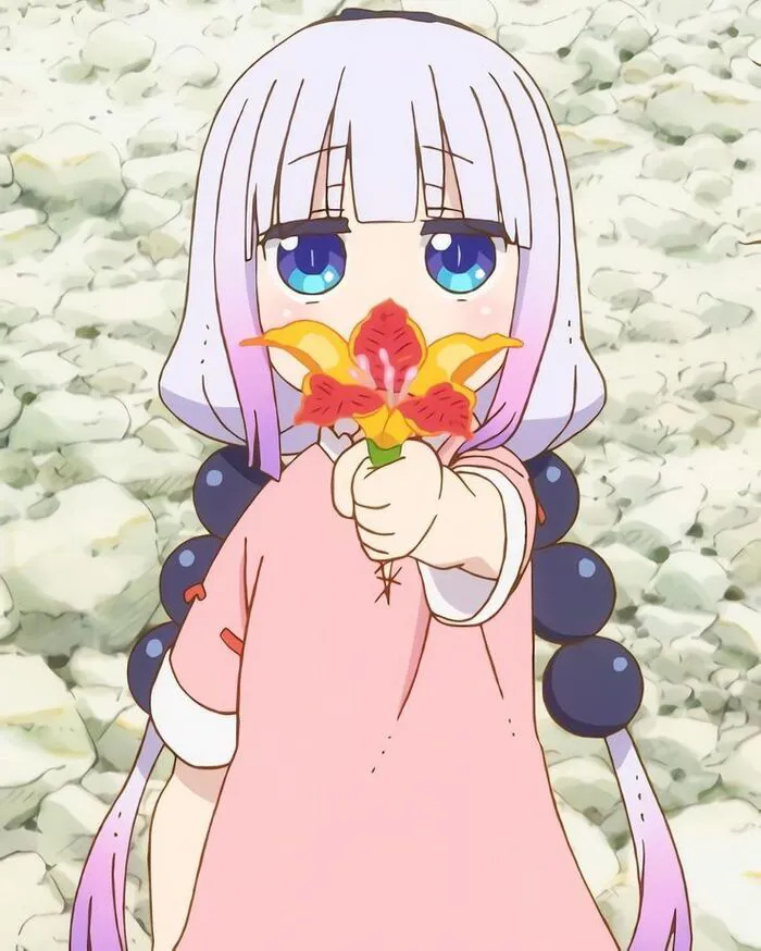 ảnh Kanna Kamui đáng yêu