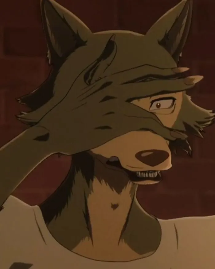 ảnh Legoshi