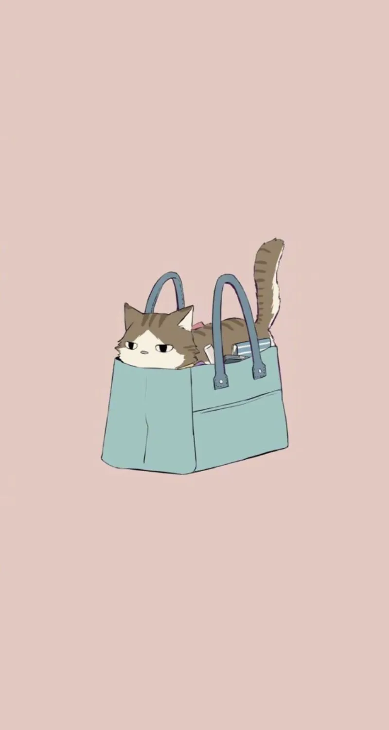 ảnh mèo cute làm hình nền điện thoại đẹp nhất