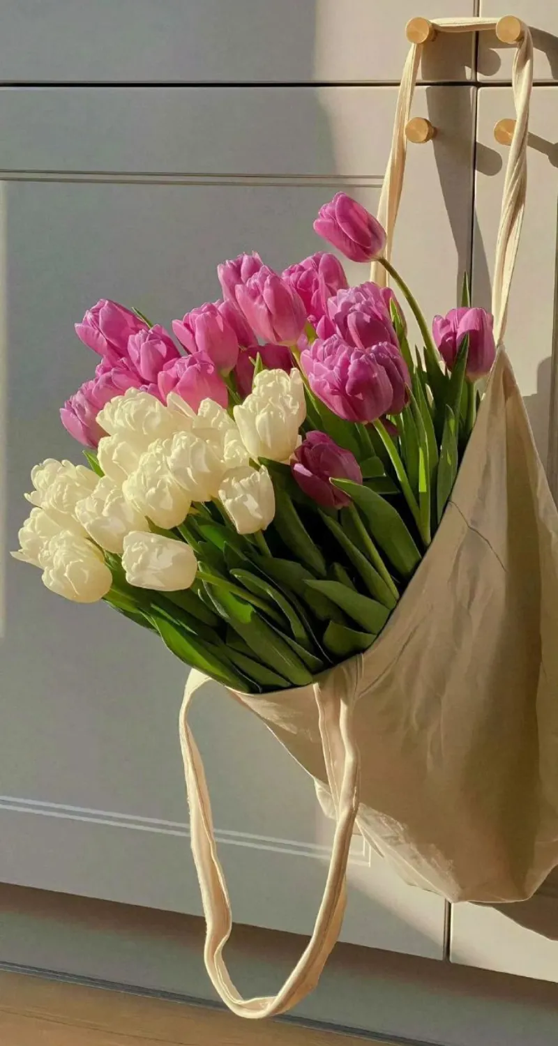 ảnh nền hoa tulip đẹp nhất