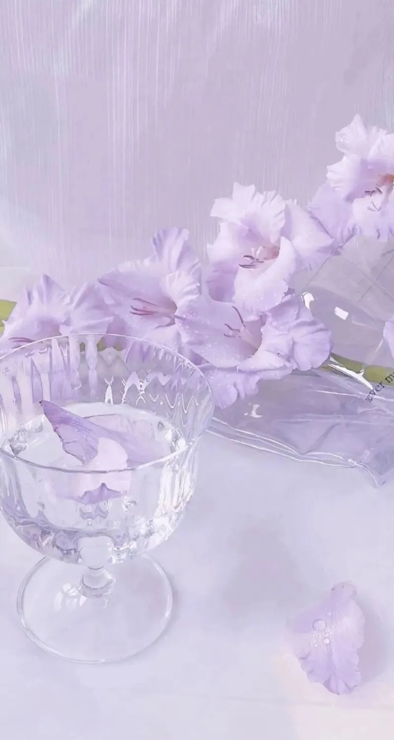 ảnh nền màu tím siêu đẹp