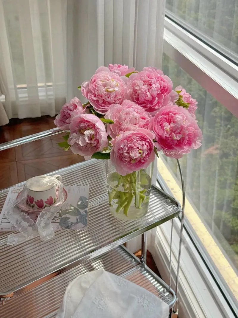 Bộ hình nền hoa mẫu đơn mới chất lượng cao