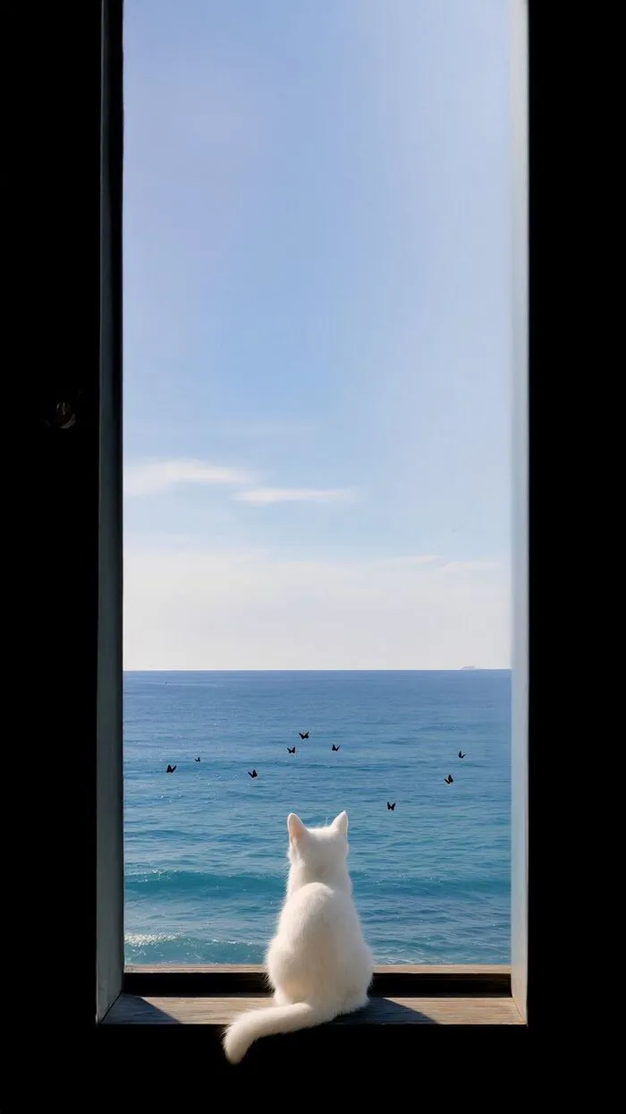 Hình nền bầu trời full HD buồn