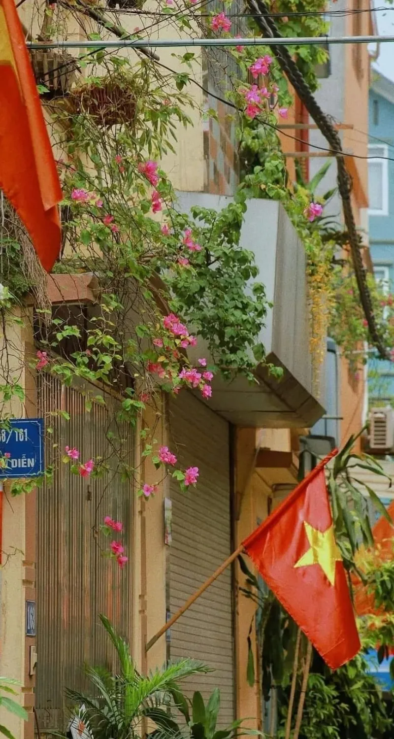 hình nền cờ tổ quốc việt nam