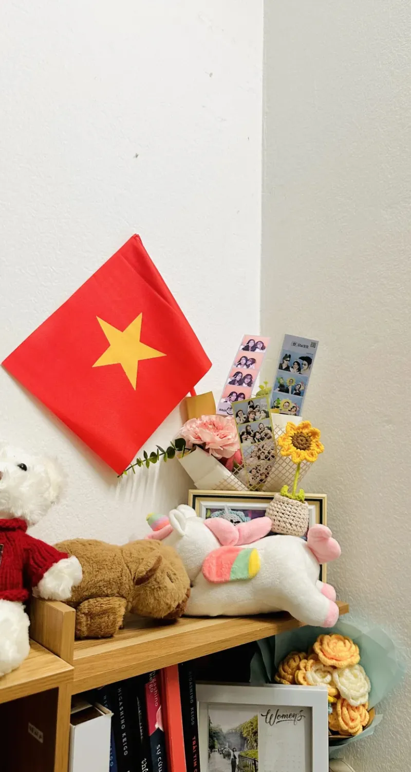 hình nền cờ việt nam 3d đẹp nhất