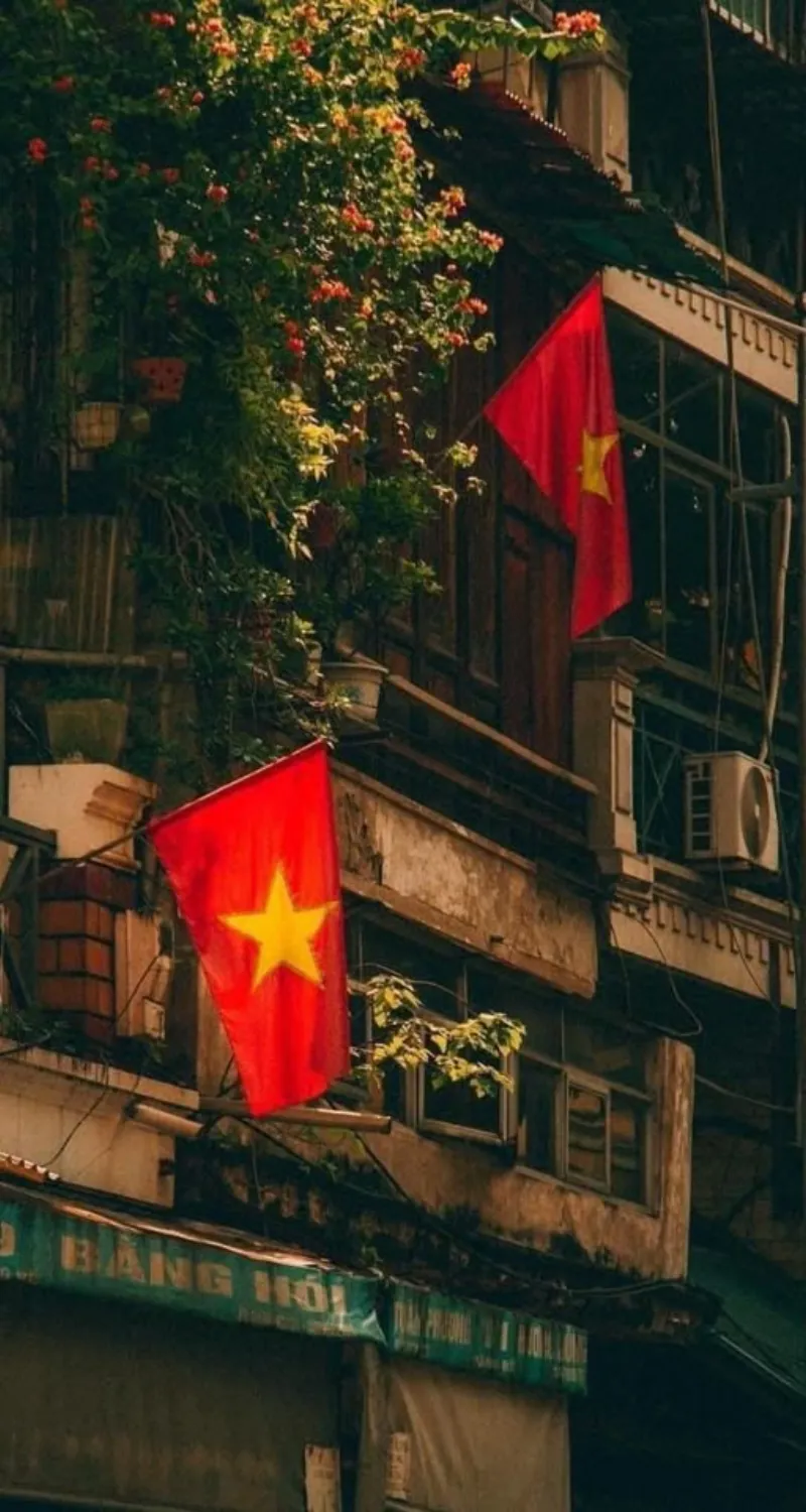 hình nền cờ việt nam đẹp nhất