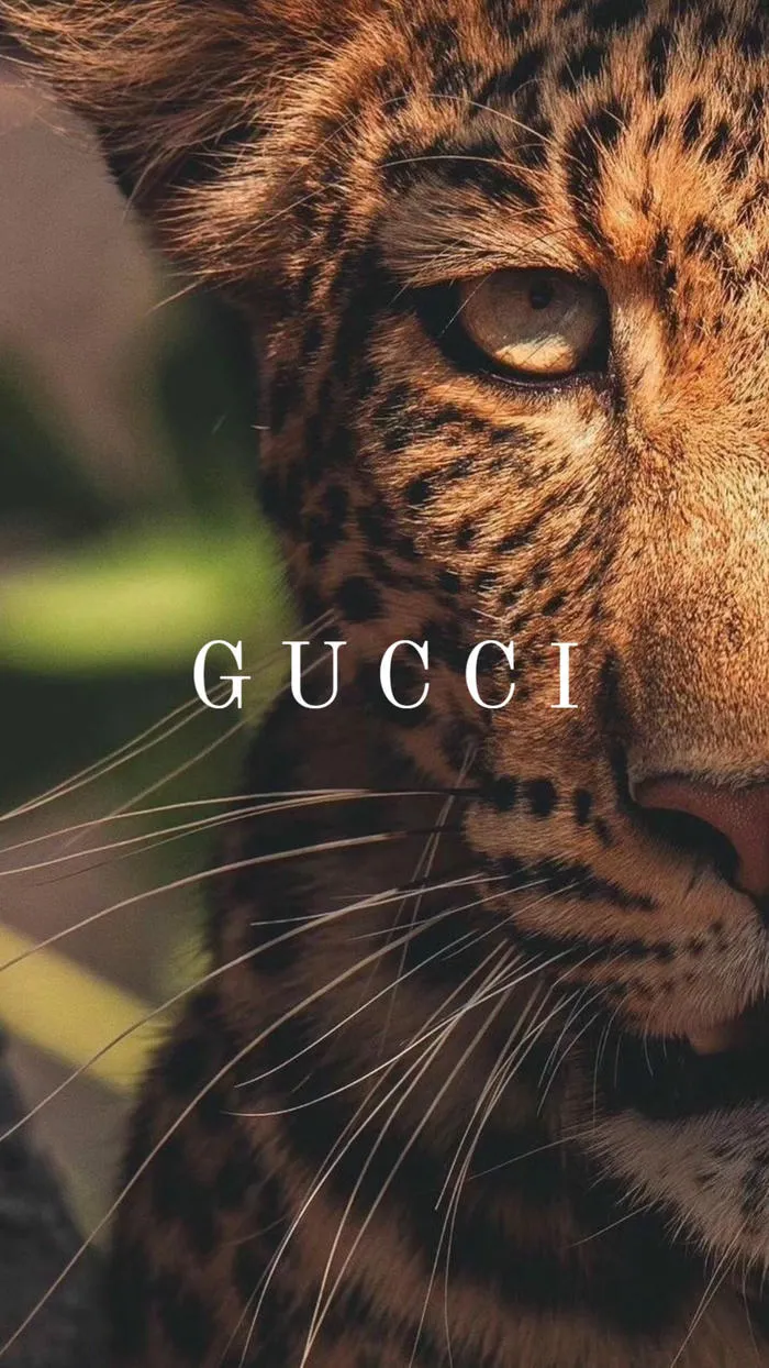 hình nền gucci đẹp hot full hd