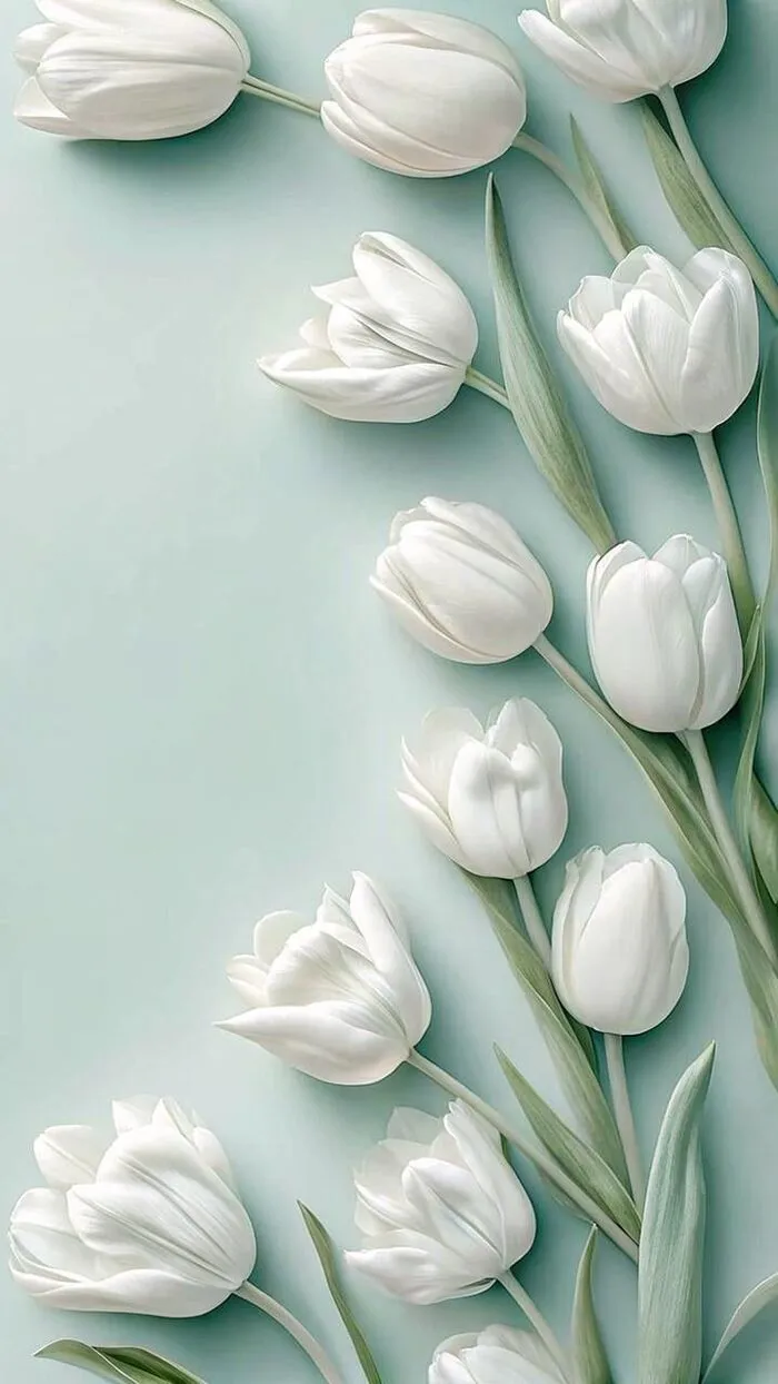 hình nền hoa tulip