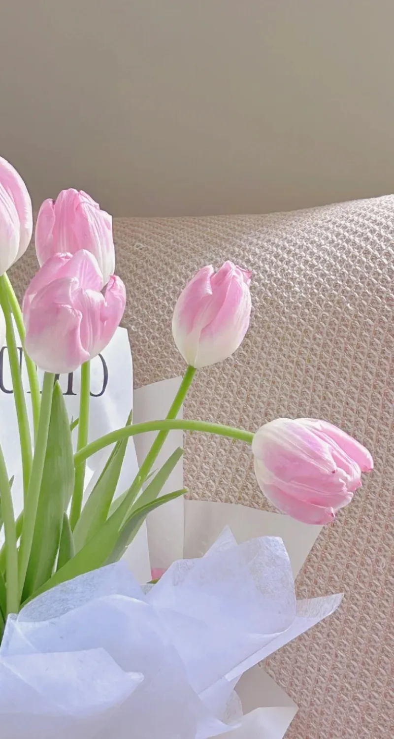 hình nền hoa tulip chill 3d