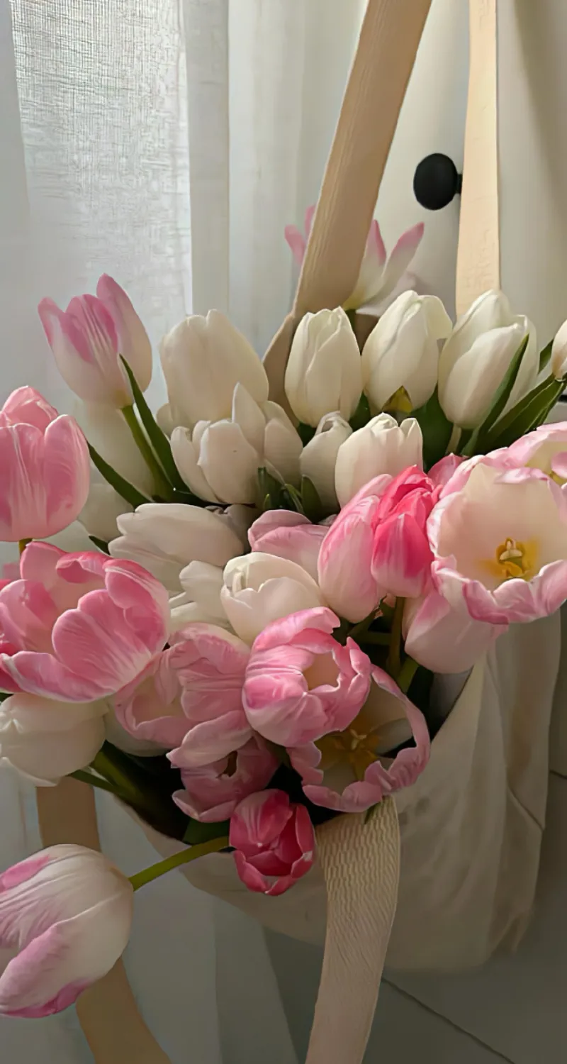hình nền hoa tulip hồng trắng