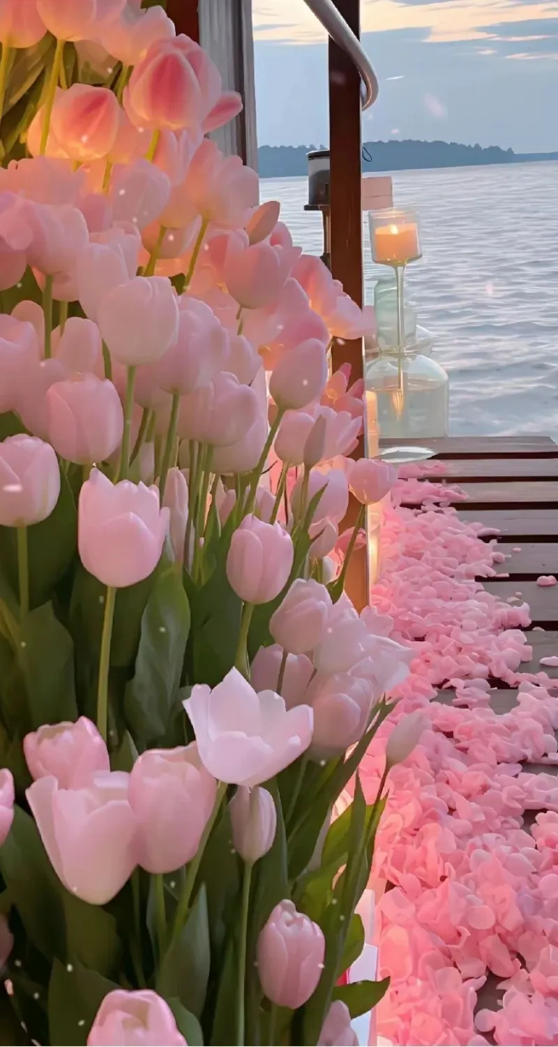 hình nền hoa tulip lung linh