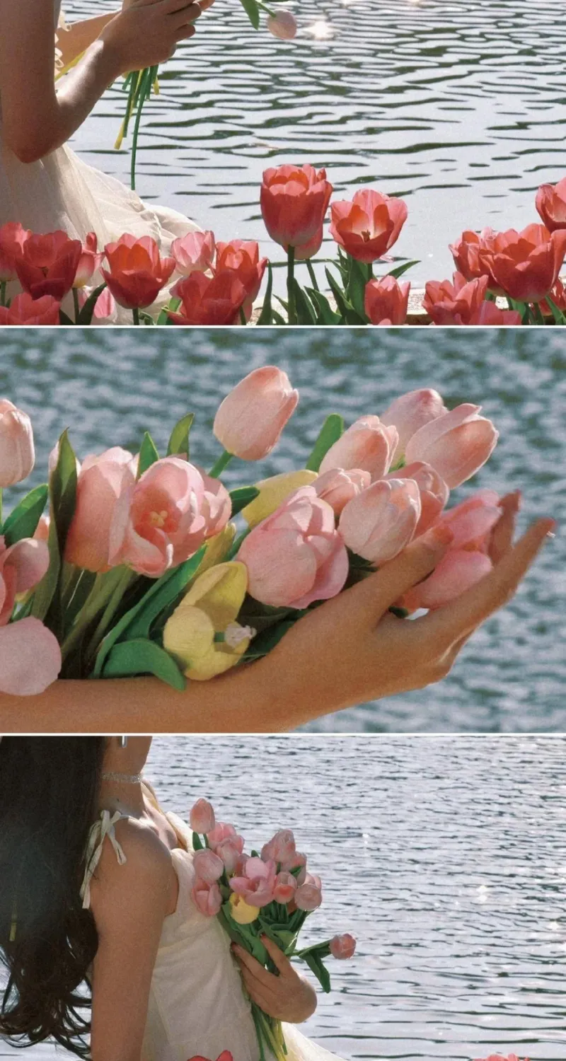 hình nền hoa tulip nhẹ nhàng chill