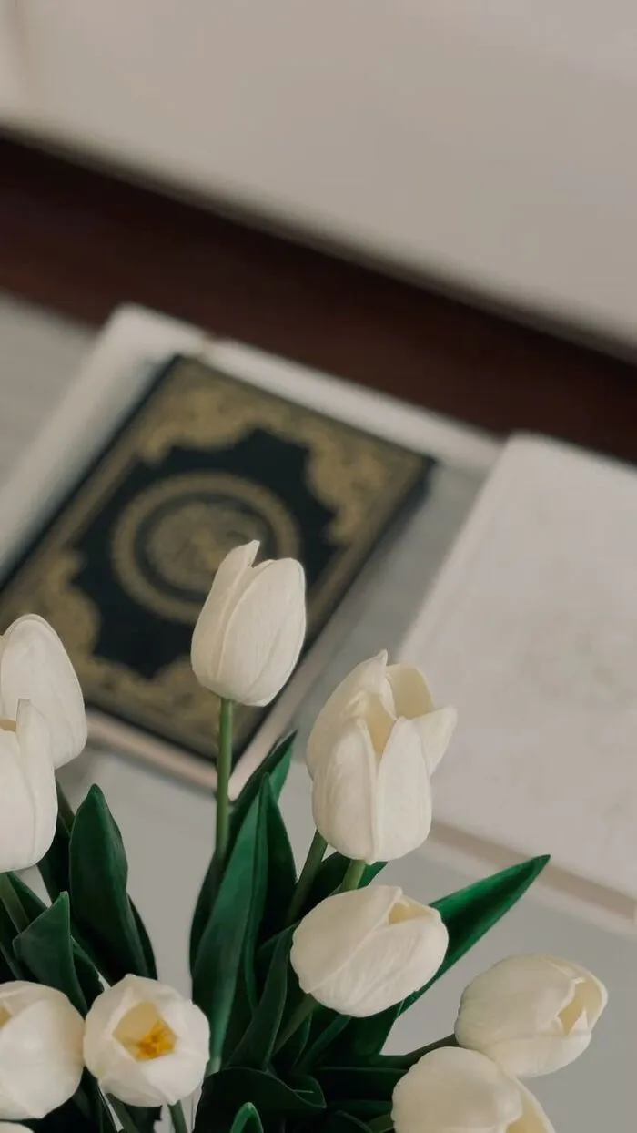 hình nền hoa tulip trắng