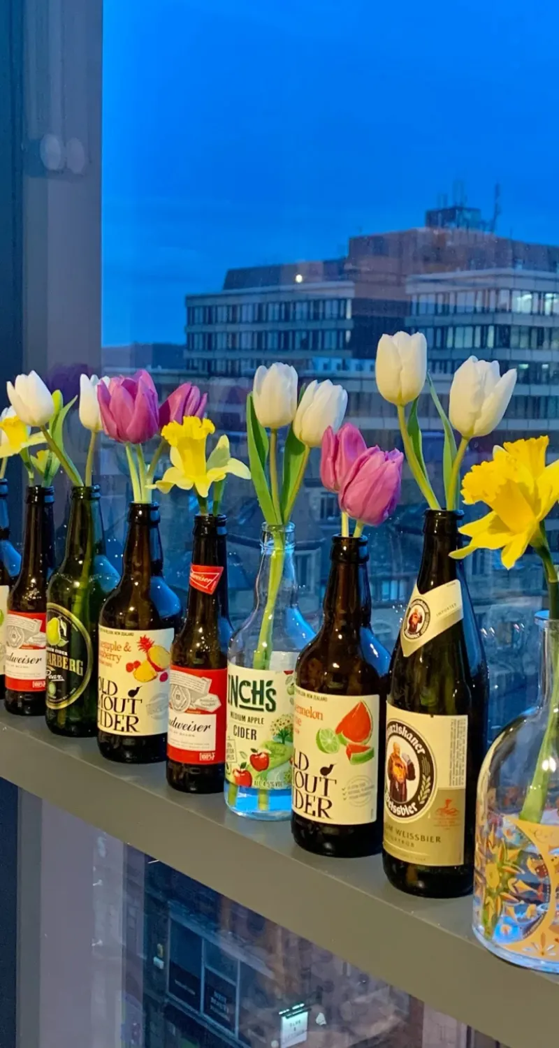 hình nền hoa tulip xinh