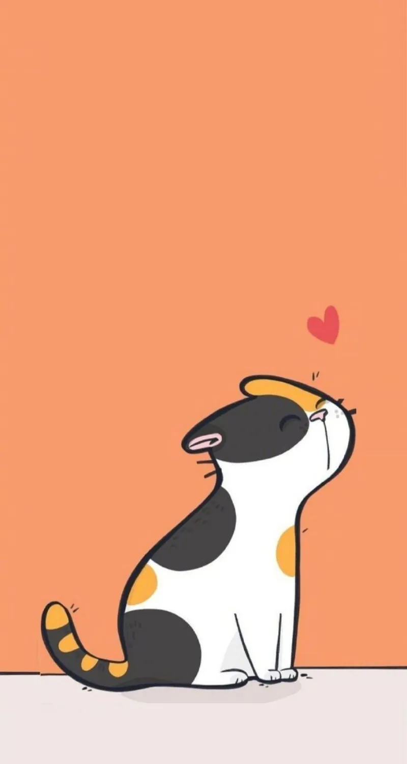 hình nền mèo cute 8k đẹp nhất