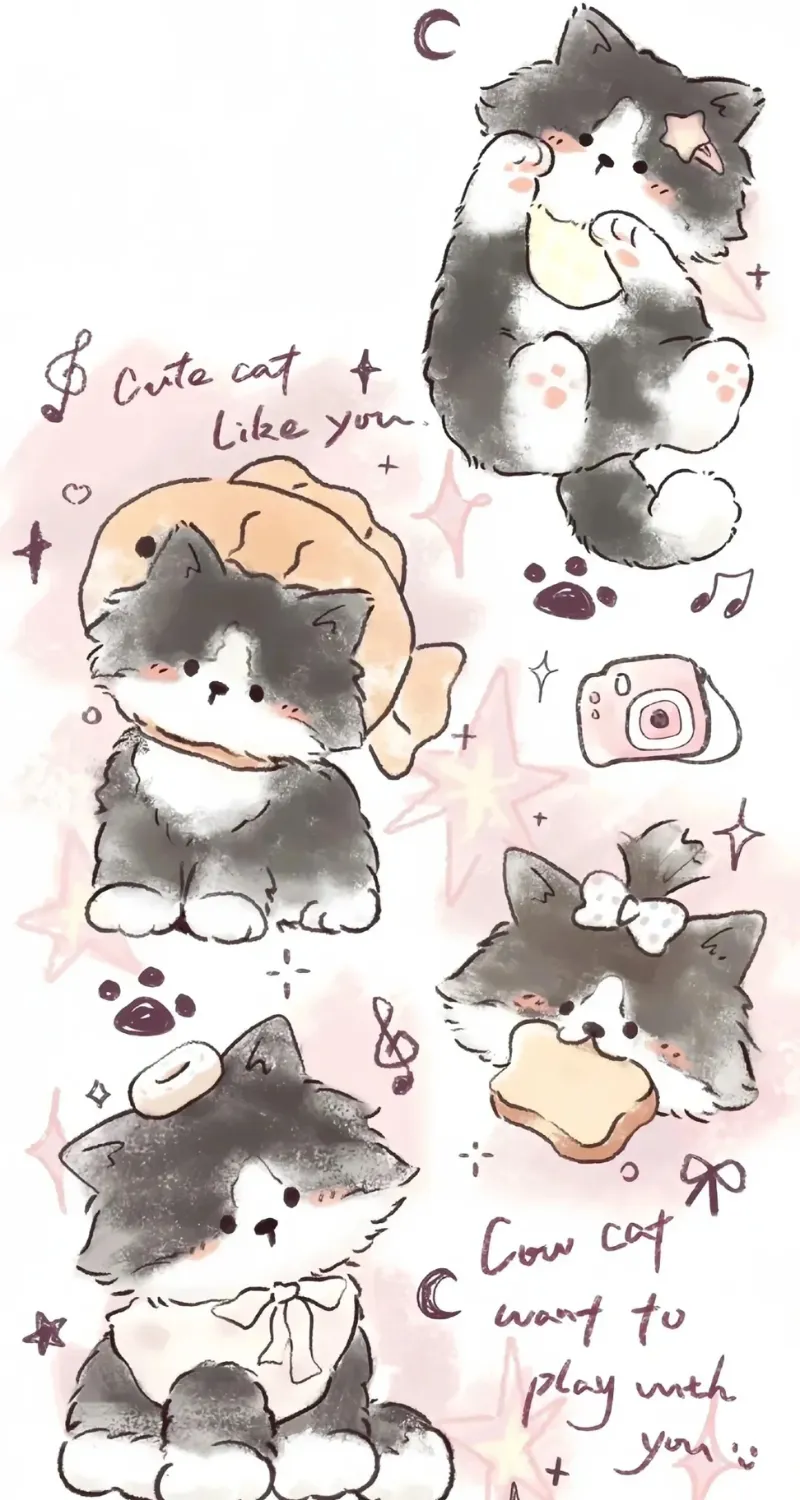 hình nền mèo cute dễ thương