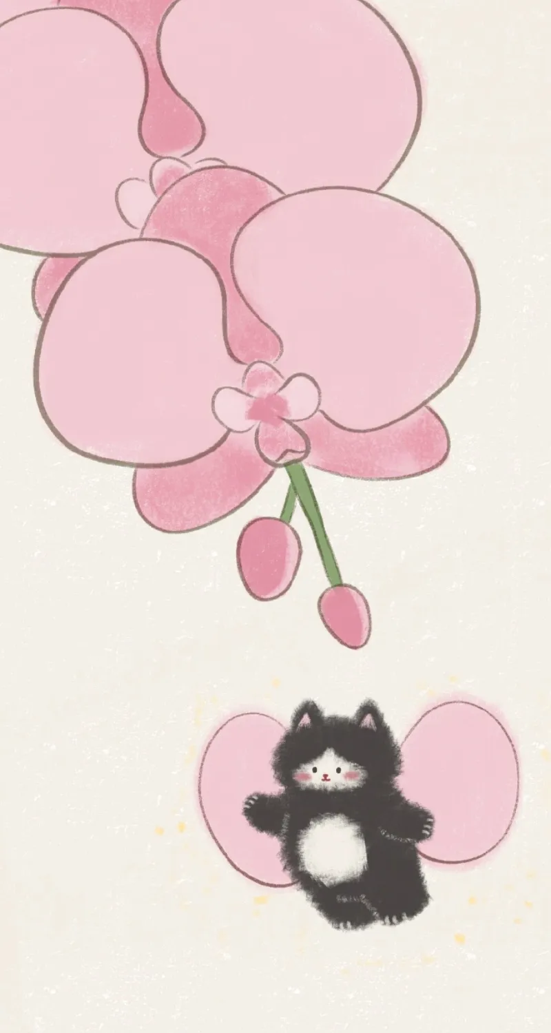 hình nền mèo cute xinh yêu
