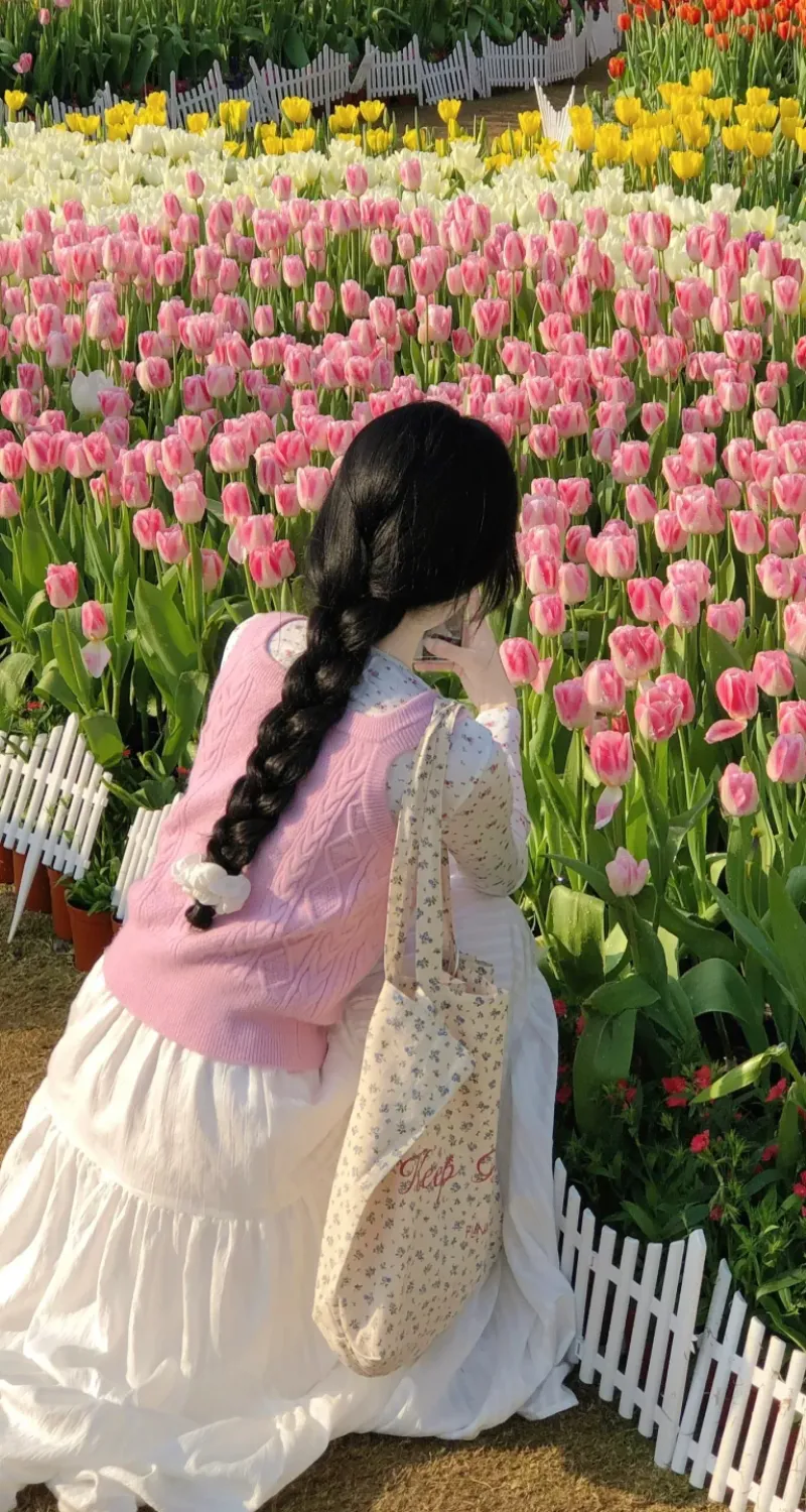 hình nền vườn hoa tulip đẹp