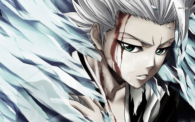 Khám phá ảnh toshiro hitsugaya đẹp nhất