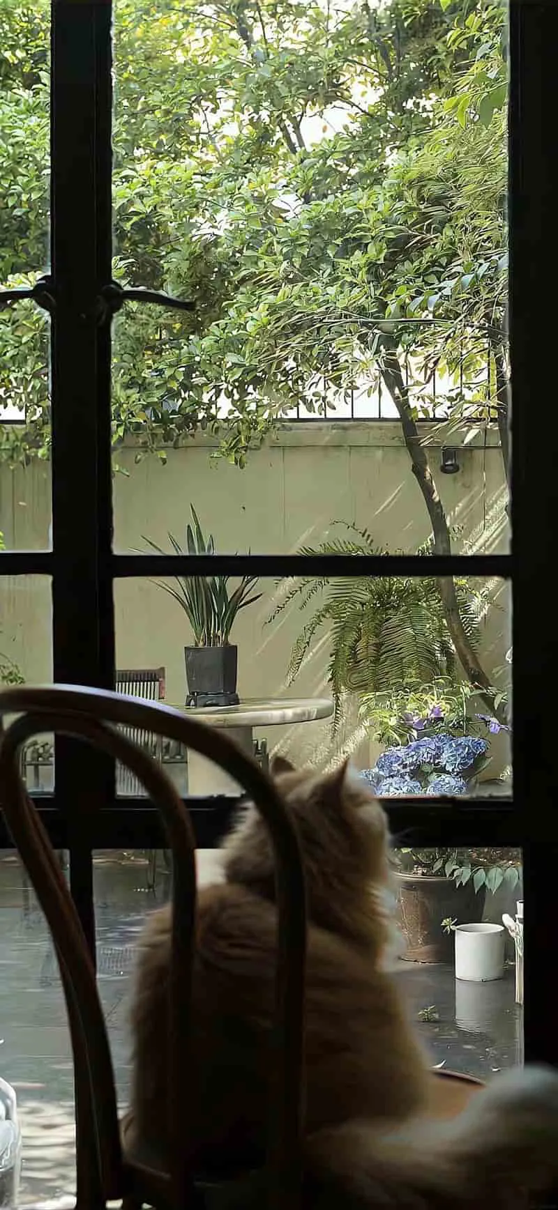 Khám phá hình nền chill độc đáo