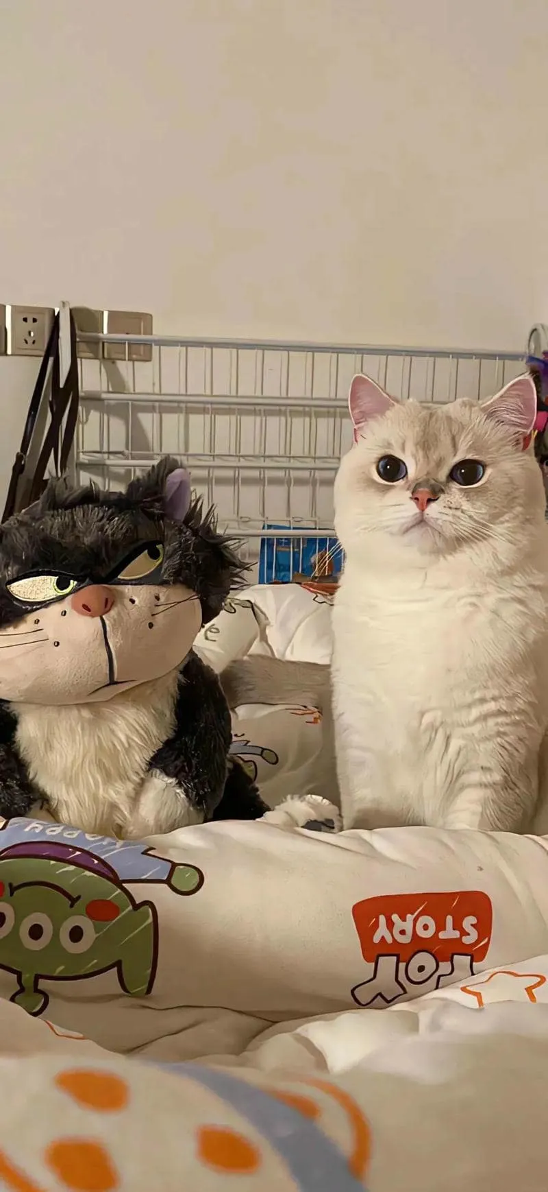 Khám phá hình nền đẹp cute cuốn hút