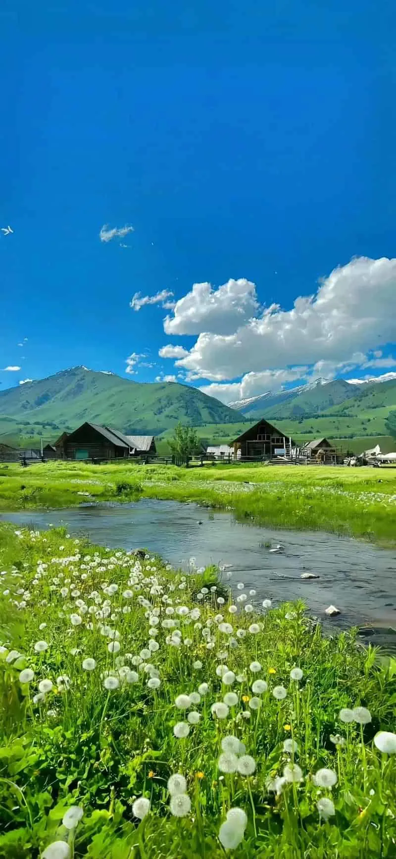 Khám phá kho hình nền đen cuốn hút