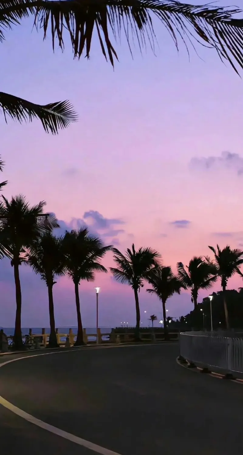 màn hình nền màu tím 4k