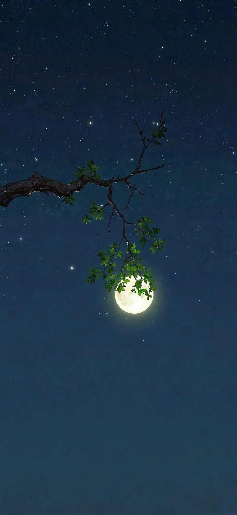 Ngắm hình nền trăng mới